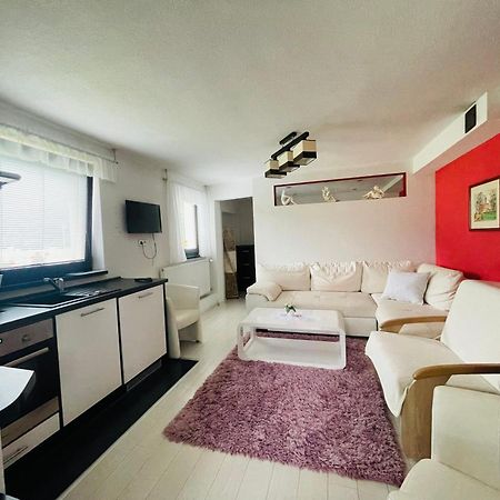 Apartmany Pod Troma Korunami Červený Kláštor エクステリア 写真
