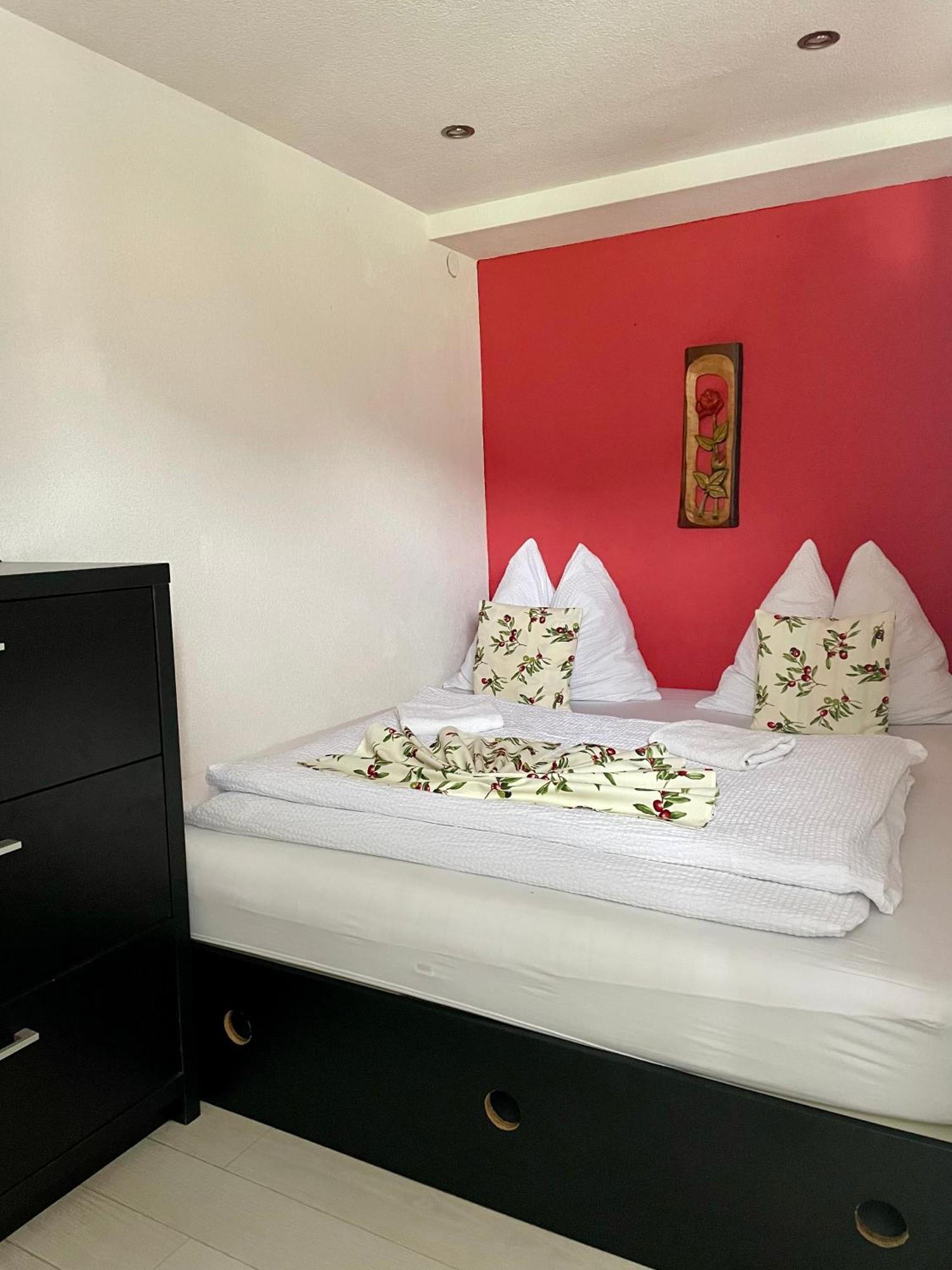 Apartmany Pod Troma Korunami Červený Kláštor エクステリア 写真