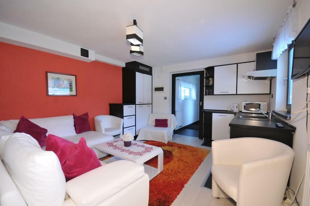 Apartmany Pod Troma Korunami Červený Kláštor エクステリア 写真